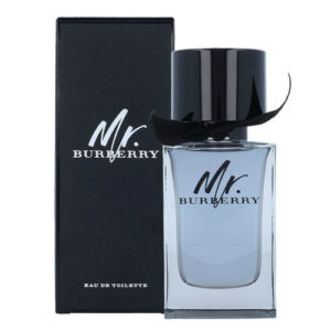 Burberry - Mr. Burberry - edt moška